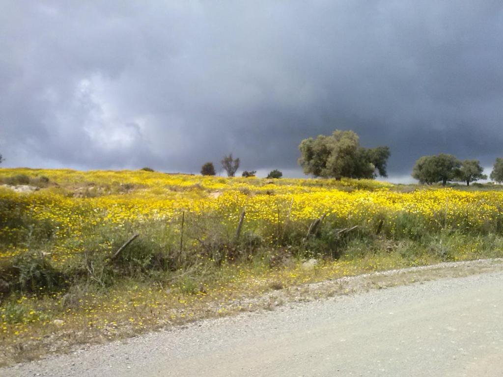 Sívas Villa Costas - Popi מראה חיצוני תמונה